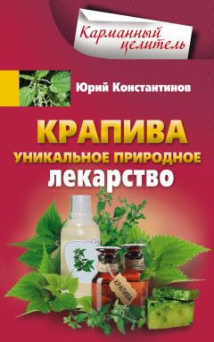 Юрий Константинов - Крапива. Уникальное природное лекарство - Читать 📖 Читать онлайн 👀 Читаемые книги читать онлайн бесплатно 🔥 booksread-online.com