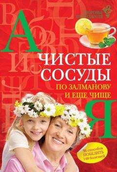 Ольга Калашникова - Чистые сосуды по Залманову и еще чище - Читать 📖 Читать онлайн 👀 Читаемые книги читать онлайн бесплатно 🔥 booksread-online.com
