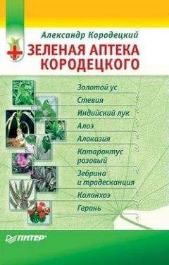 Александр Кородецкий - Зеленая аптека Кородецкого: золотой ус, индийский лук, стевия и другие - Читать 📖 Читать онлайн 👀 Читаемые книги читать онлайн бесплатно 🔥 booksread-online.com