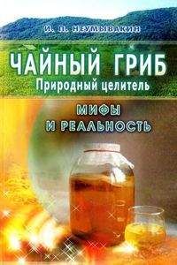 Иван Неумывакин - Чайный гриб — природный целитель. Мифы и реальность - Читать | Читать онлайн | Читаемые книги читать онлайн бесплатно | booksread-online.com