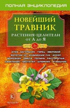 О. Филатов - Новейший травник. Растения-целители от А до Я - Читать | Читать онлайн | Читаемые книги читать онлайн бесплатно | booksread-online.com
