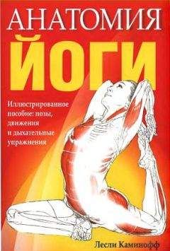Лесли Каминофф - Анатомия йоги - Читать | Читать онлайн | Читаемые книги читать онлайн бесплатно | booksread-online.com