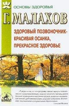 Геннадий Малахов - Здоровый позвоночник - красивая осанка, прекрасное здоровье - Читать 📖 Читать онлайн 👀 Читаемые книги читать онлайн бесплатно 🔥 booksread-online.com