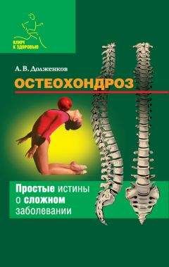 Андрей Долженков - Остеохондроз - Читать 📖 Читать онлайн 👀 Читаемые книги читать онлайн бесплатно 🔥 booksread-online.com