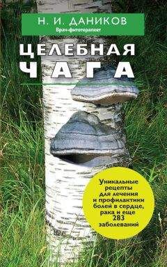 Николай Даников - Целебная чага - Читать 📖 Читать онлайн 👀 Читаемые книги читать онлайн бесплатно 🔥 booksread-online.com