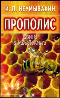 И. Неумывакин - Прополис - Читать 📖 Читать онлайн 👀 Читаемые книги читать онлайн бесплатно 🔥 booksread-online.com