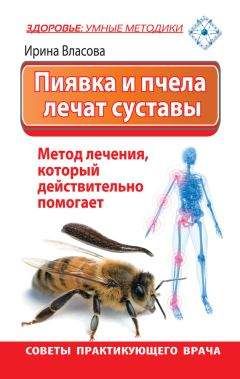 Ирина Власова - Пиявка и пчела лечат суставы. Метод лечения, который действительно помогает. Советы практикующего врача - Читать 📖 Читать онлайн 👀 Читаемые книги читать онлайн бесплатно 🔥 booksread-online.com