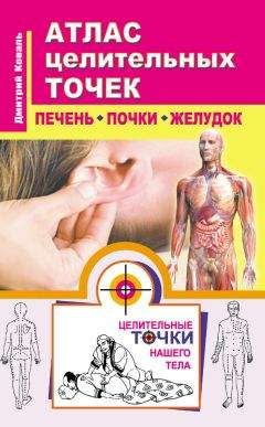 Дмитрий Коваль - Атлас целительных точек. Печень, почки, желудок - Читать 📖 Читать онлайн 👀 Читаемые книги читать онлайн бесплатно 🔥 booksread-online.com