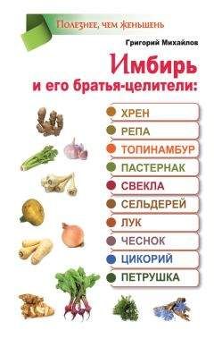 Григорий Михайлов - Имбирь и его братья-целители: хрен, репа, топинамбур, пастернак, свекла, сельдерей, лук, чеснок, цикорий, петрушка - Читать 📖 Читать онлайн 👀 Читаемые книги читать онлайн бесплатно 🔥 booksread-online.com