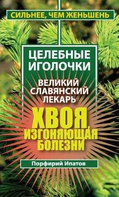 Порфирий Ипатов - Хвоя, изгоняющая болезни. Великий славянский лекарь - Читать 📖 Читать онлайн 👀 Читаемые книги читать онлайн бесплатно 🔥 booksread-online.com
