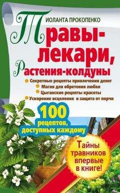Иоланта Прокопенко - Травы-лекари, растения-колдуны. 100 рецептов, доступных каждому - Читать 📖 Читать онлайн 👀 Читаемые книги читать онлайн бесплатно 🔥 booksread-online.com