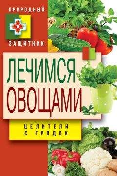 Дарья Нестерова - Лечимся овощами. Целители с грядок - Читать 📖 Читать онлайн 👀 Читаемые книги читать онлайн бесплатно 🔥 booksread-online.com