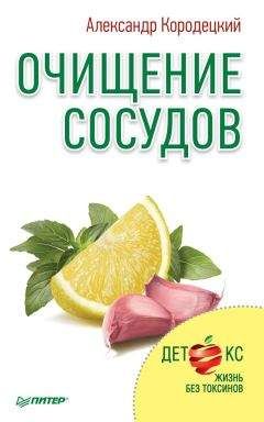 Александр Кородецкий - Очищение сосудов - Читать 📖 Читать онлайн 👀 Читаемые книги читать онлайн бесплатно 🔥 booksread-online.com
