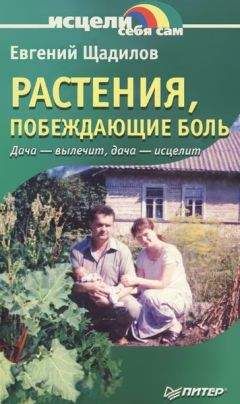 Евгений Щадилов - Растения, побеждающие боль. Дача — вылечит, дача — исцелит - Читать 📖 Читать онлайн 👀 Читаемые книги читать онлайн бесплатно 🔥 booksread-online.com