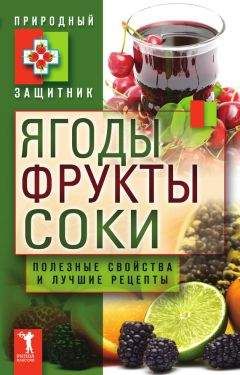 Ю. Николаева - Ягоды, фрукты и соки. Полезные свойства и лучшие народные рецепты - Читать 📖 Читать онлайн 👀 Читаемые книги читать онлайн бесплатно 🔥 booksread-online.com