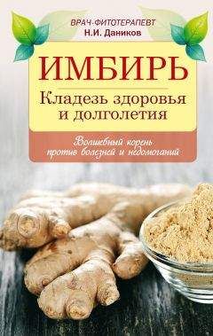 Николай Даников - Имбирь. Кладезь здоровья и долголетия - Читать 📖 Читать онлайн 👀 Читаемые книги читать онлайн бесплатно 🔥 booksread-online.com