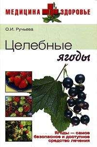 Оксана Ручьева - Целебные ягоды - Читать 📖 Читать онлайн 👀 Читаемые книги читать онлайн бесплатно 🔥 booksread-online.com