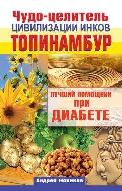 Андрей Новиков - Чудо-целитель цивилизации инков. Топинамбур. Лучший помощник при диабете - Читать 📖 Читать онлайн 👀 Читаемые книги читать онлайн бесплатно 🔥 booksread-online.com