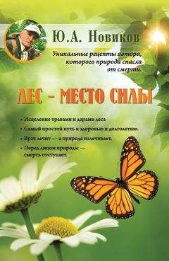 Юрий Новиков - Лес – место силы - Читать 📖 Читать онлайн 👀 Читаемые книги читать онлайн бесплатно 🔥 booksread-online.com