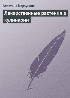 Алевтина Корзунова - Лекарственные растения в кулинарии - Читать | Читать онлайн | Читаемые книги читать онлайн бесплатно | booksread-online.com