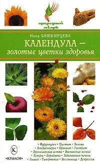 Нина Башкирцева - Календула – золотые цветки здоровья - Читать 📖 Читать онлайн 👀 Читаемые книги читать онлайн бесплатно 🔥 booksread-online.com