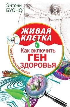 Энтони Буоно - Живая клетка. Как включить ген здоровья - Читать 📖 Читать онлайн 👀 Читаемые книги читать онлайн бесплатно 🔥 booksread-online.com