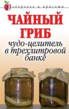 Анна Щеглова - Чайный гриб. Чудо-целитель в трехлитровой банке - Читать 📖 Читать онлайн 👀 Читаемые книги читать онлайн бесплатно 🔥 booksread-online.com