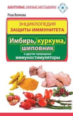 Роза Волкова - Энциклопедия защиты иммунитета. Имбирь, куркума, шиповник и другие природные иммуностимуляторы - Читать | Читать онлайн | Читаемые книги читать онлайн бесплатно | booksread-online.com