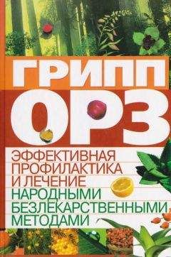 C. Мирошниченко - Грипп, ОРЗ: эффективная профилактика и лечение народными безлекарственными методами - Читать | Читать онлайн | Читаемые книги читать онлайн бесплатно | booksread-online.com