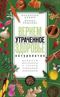 Ирина Чудаева - Вернем утраченное здоровье. Натуропатия. Рецепты, методики и советы народной медицины - Читать 📖 Читать онлайн 👀 Читаемые книги читать онлайн бесплатно 🔥 booksread-online.com