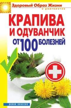 Виктор Зайцев - Крапива и одуванчик от 100 болезней - Читать 📖 Читать онлайн 👀 Читаемые книги читать онлайн бесплатно 🔥 booksread-online.com