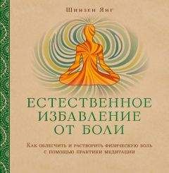 Шинзен Янг - Естественное избавление от боли. Как облегчить и растворить физическую боль с помощью практики медитации - Читать 📖 Читать онлайн 👀 Читаемые книги читать онлайн бесплатно 🔥 booksread-online.com