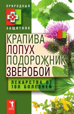 Юлия Николаева - Крапива, лопух, подорожник, зверобой. Лекарства от 100 болезней - Читать 📖 Читать онлайн 👀 Читаемые книги читать онлайн бесплатно 🔥 booksread-online.com