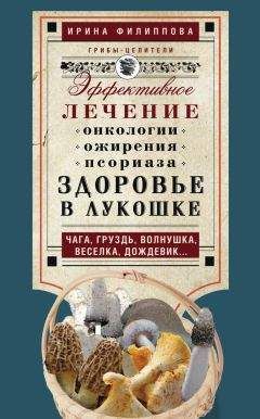 Ирина Филиппова - Здоровье в лукошке. Эффективное лечение онкологии, ожирения, псориаза. Чага, груздь, волнушка, веселка, дождевик… - Читать 📖 Читать онлайн 👀 Читаемые книги читать онлайн бесплатно 🔥 booksread-online.com