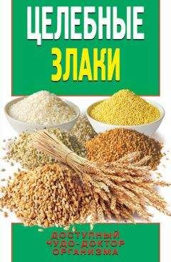 Елена Смирнова - Целебные злаки. Доступный чудо-доктор организма - Читать 📖 Читать онлайн 👀 Читаемые книги читать онлайн бесплатно 🔥 booksread-online.com