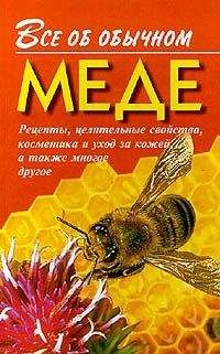 Иван Дубровин - Все об обычном меде - Читать 📖 Читать онлайн 👀 Читаемые книги читать онлайн бесплатно 🔥 booksread-online.com