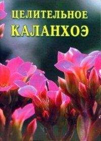Иван Дубровин - Целительное каланхоэ - Читать 📖 Читать онлайн 👀 Читаемые книги читать онлайн бесплатно 🔥 booksread-online.com