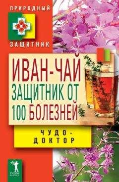 В. Зайцев - Иван-чай. Защитник от 100 болезней - Читать 📖 Читать онлайн 👀 Читаемые книги читать онлайн бесплатно 🔥 booksread-online.com