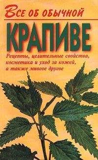 Иван Дубровин - Все об обычной крапиве - Читать 📖 Читать онлайн 👀 Читаемые книги читать онлайн бесплатно 🔥 booksread-online.com
