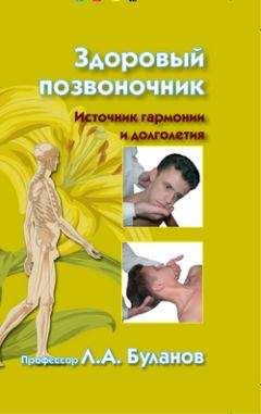 Леонид Буланов - Здоровый позвоночник. Источник гармонии и долголетия - Читать 📖 Читать онлайн 👀 Читаемые книги читать онлайн бесплатно 🔥 booksread-online.com