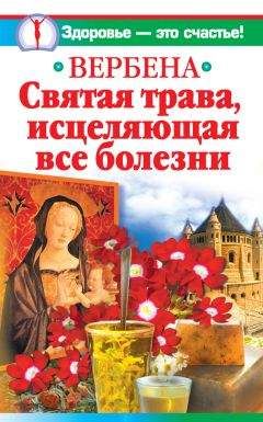Ирина Белова - Вербена – святая трава, исцеляющая все болезни - Читать 📖 Читать онлайн 👀 Читаемые книги читать онлайн бесплатно 🔥 booksread-online.com