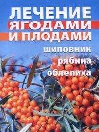 Таисия Батяева - Лечение ягодами (рябина, шиповник, облепиха) - Читать | Читать онлайн | Читаемые книги читать онлайн бесплатно | booksread-online.com
