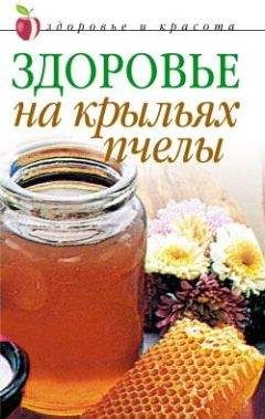Наталья Сухинина - Здоровье на крыльях пчелы - Читать 📖 Читать онлайн 👀 Читаемые книги читать онлайн бесплатно 🔥 booksread-online.com