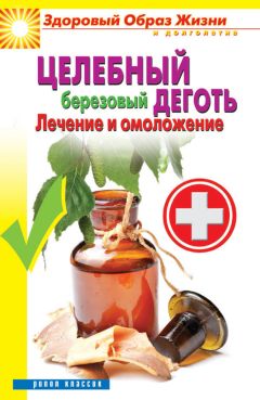 Антонина Соколова - Целебный березовый деготь. Лечение и омоложение - Читать 📖 Читать онлайн 👀 Читаемые книги читать онлайн бесплатно 🔥 booksread-online.com