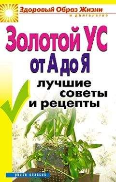 Ирина Новикова - Золотой ус от А до Я. Лучшие советы и рецепты - Читать 📖 Читать онлайн 👀 Читаемые книги читать онлайн бесплатно 🔥 booksread-online.com