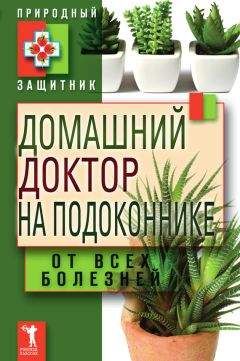 Юлия Николаева - Домашний доктор на подоконнике. От всех болезней - Читать 📖 Читать онлайн 👀 Читаемые книги читать онлайн бесплатно 🔥 booksread-online.com