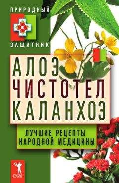 Юлия Николаева - Алоэ, чистотел, каланхоэ. Лучшие рецепты народной медицины - Читать | Читать онлайн | Читаемые книги читать онлайн бесплатно | booksread-online.com