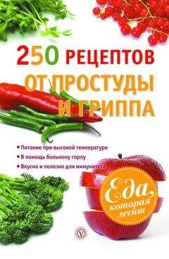 Виктор Ильин - 250 рецептов от простуды и гриппа - Читать 📖 Читать онлайн 👀 Читаемые книги читать онлайн бесплатно 🔥 booksread-online.com