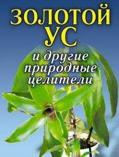 Алексей Иванов - Золотой ус и другие природные целители - Читать 📖 Читать онлайн 👀 Читаемые книги читать онлайн бесплатно 🔥 booksread-online.com