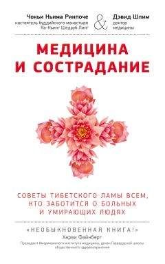 Чокьи Ринпоче - Медицина и сострадание. Советы тибетского ламы всем, кто заботиться о больных и умирающих людях - Читать | Читать онлайн | Читаемые книги читать онлайн бесплатно | booksread-online.com